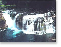 fishing the cowlitz river